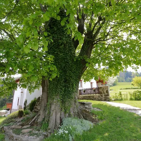 Horská chata Lhotka By Interhome